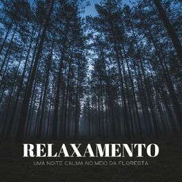 Som da Floresta a Noite - Relaxar, Dormir 