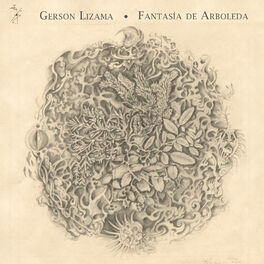 Album cover of Fantasía de Arboleda