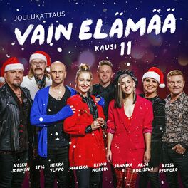 Album cover of Vain elämää - kausi 11 joulukattaus