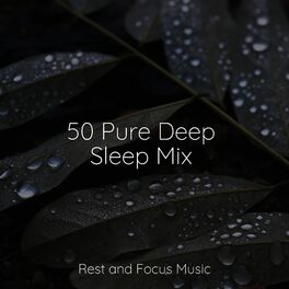 Album cover of 50 Pure Deep Sleep Mix