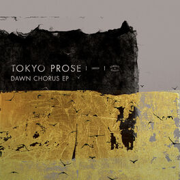 Album cover of Dawn Chorus EP