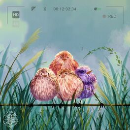 Album cover of Birdwatching