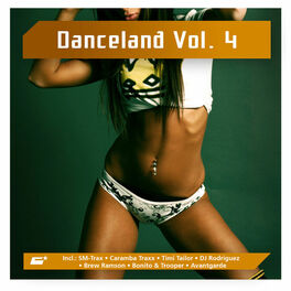 Album cover of Danceland, Vol. 4