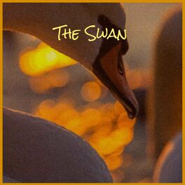Album cover of The Swan