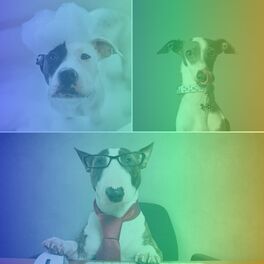 Album cover of Backdrop for Caring for Dogs - Chill Out Guitar