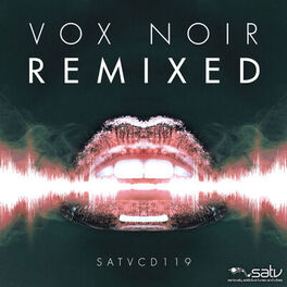 Album cover of Vox Noir (Remixed)