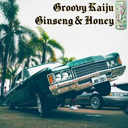 Album cover of Ginseng & Honey