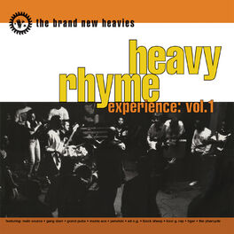 Album cover of Heavy Rhyme Experience: Vol.1