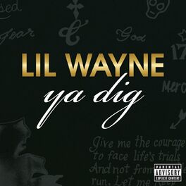 Album cover of Ya Dig