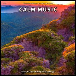 Album cover of ! ! ! ! Calm Music to Relax, for Sleep, Studying, to Release Struggle