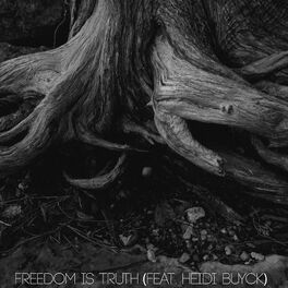 Album cover of Freedom Is Truth (feat. Heidi Buyck)