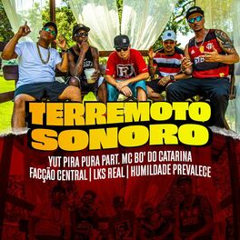 Album cover of Terremoto Sonoro