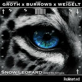 Album cover of Snow Leopard 2023 (Re-Attack)