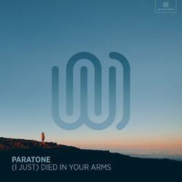 Album cover of (I Just) Died in Your Arms