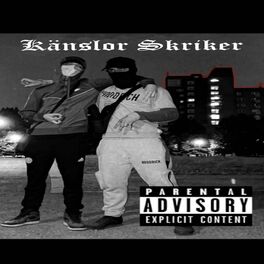 Album cover of Känslor Skriker (feat. Smokie)