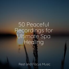 Album cover of 50 Peaceful Recordings for Ultimate Spa Healing