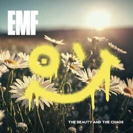 Album cover of The Beauty and the Chaos