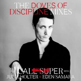 Album cover of The Doves Of Discipline Mixes