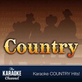 Album cover of The Karaoke Channel - Country Hits of 1993, Vol. 22