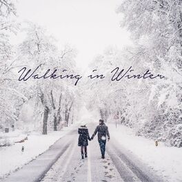 Album cover of Walking In Winter