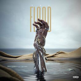 Album cover of THE FLOOD