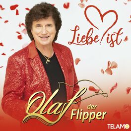 Album cover of Liebe ist