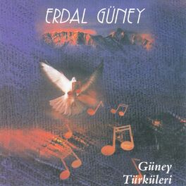 Album cover of Güney Türküleri