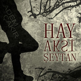 Album cover of Hay Aksi Şeytan