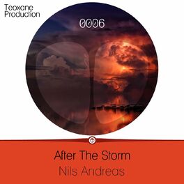 Album cover of After The Storm