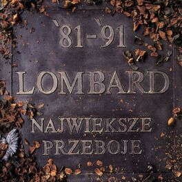 Album cover of 81-91. Największe przeboje (The Best)