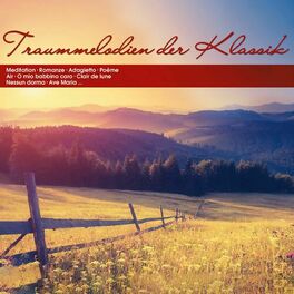 Album cover of Traummelodien der Klassik
