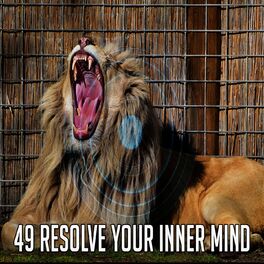 Album cover of 49 Resolve Your Inner Mind