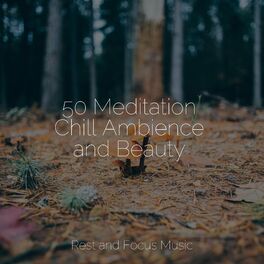 Album cover of 50 Meditation Chill Ambience and Beauty