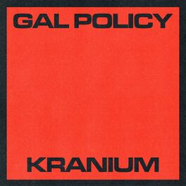 Album cover of Gal Policy