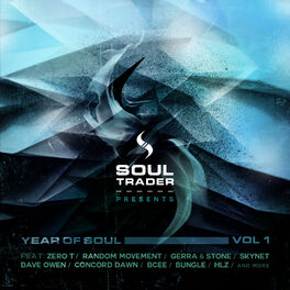 Album cover of Year of Soul Vol 1 - Sampler 1