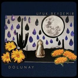 Album cover of Dolunay