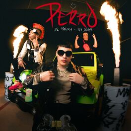 Album cover of Perro