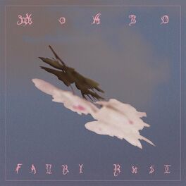 Album cover of Fairy Rust & Selected Demos