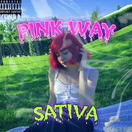 Album cover of Pink Way