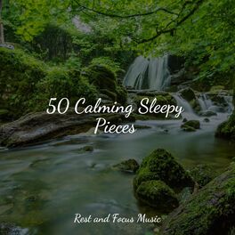 Album cover of 50 Calming Sleepy Pieces