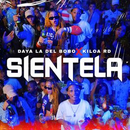 Album cover of Sientela
