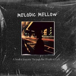 Album cover of Melodic Mellow (A Soulful Journey Through the World of LoFi)