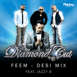 Album cover of Feem - Desi Mix