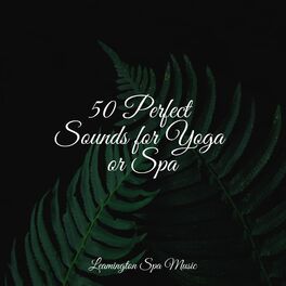Album cover of 50 Perfect Sounds for Yoga or Spa