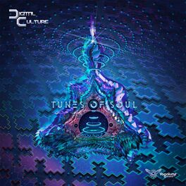Album cover of Tunes Of Soul