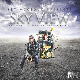 Album cover of Sky View