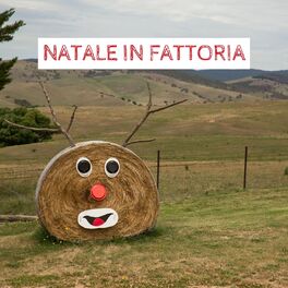 Album cover of Natale in Fattoria