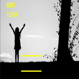 Album cover of Tusk