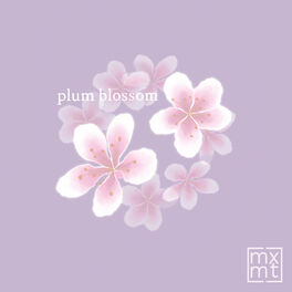 Album cover of plum blossom