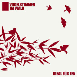 Album cover of Vogelstimmen im Wald - Ideal für Zen, Wirksame Atemübungen, Entspannung, Wellness, Vitalisieren